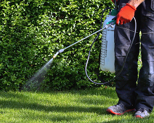 Pest Control Spray